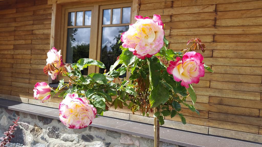 Erlendi Kodumajutus Villa Pärnu Exteriör bild